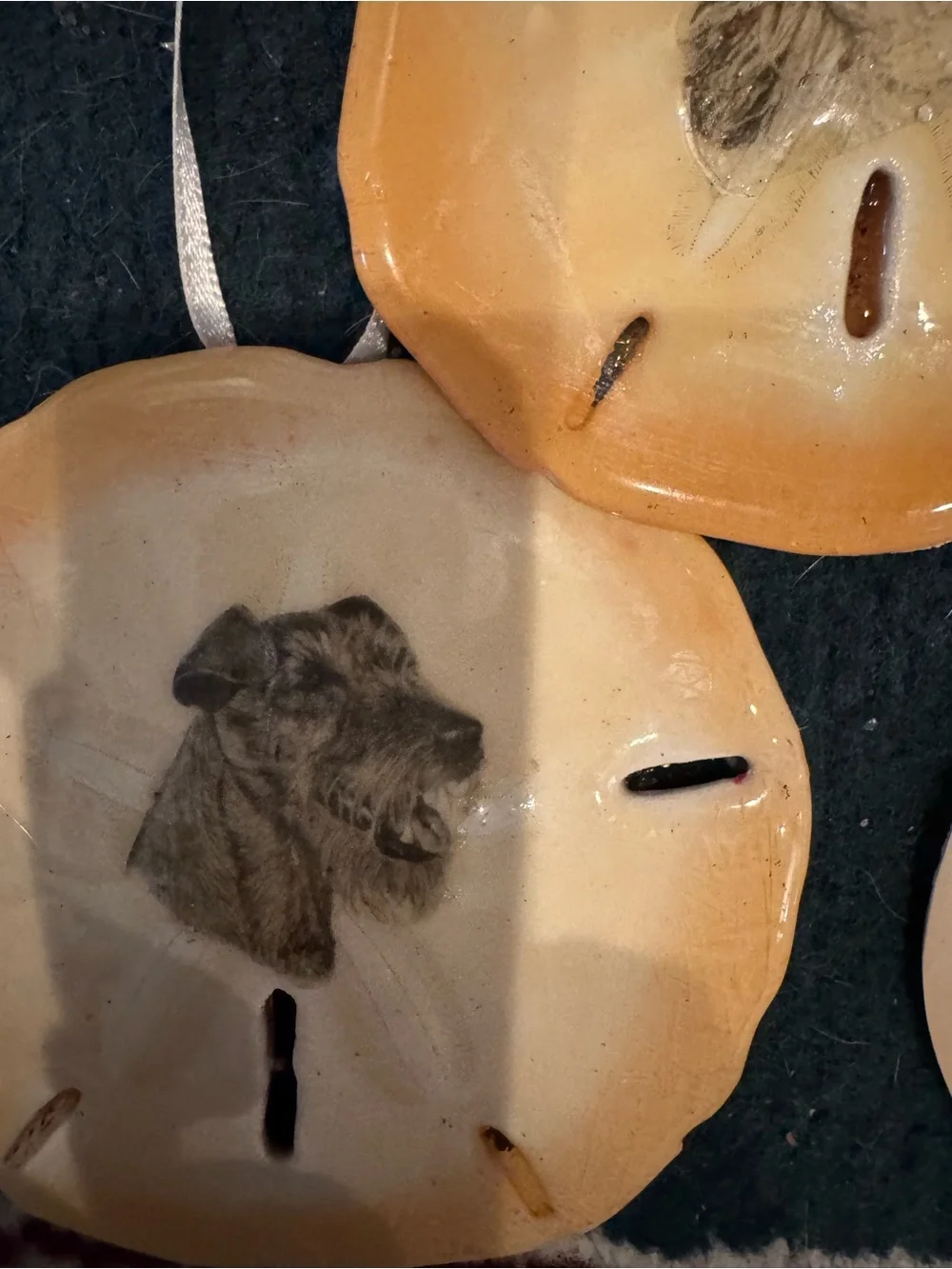 Hand-crafted Dog real Sand Dollar Ornaments - Beige